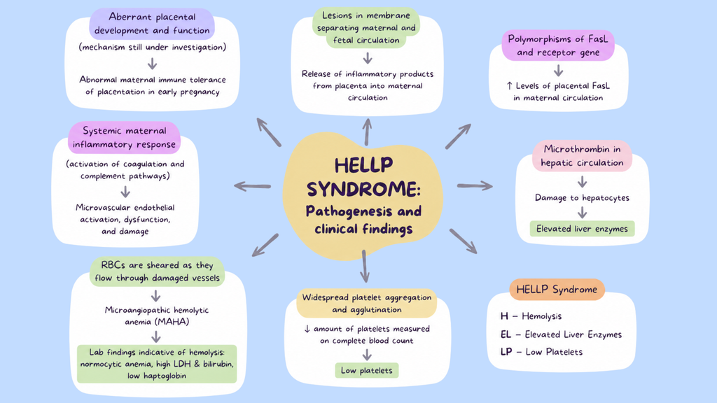 OBGYN Pathophysiology Mind Maps