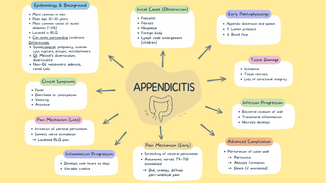 Medical Pathophysiology Mind Maps
