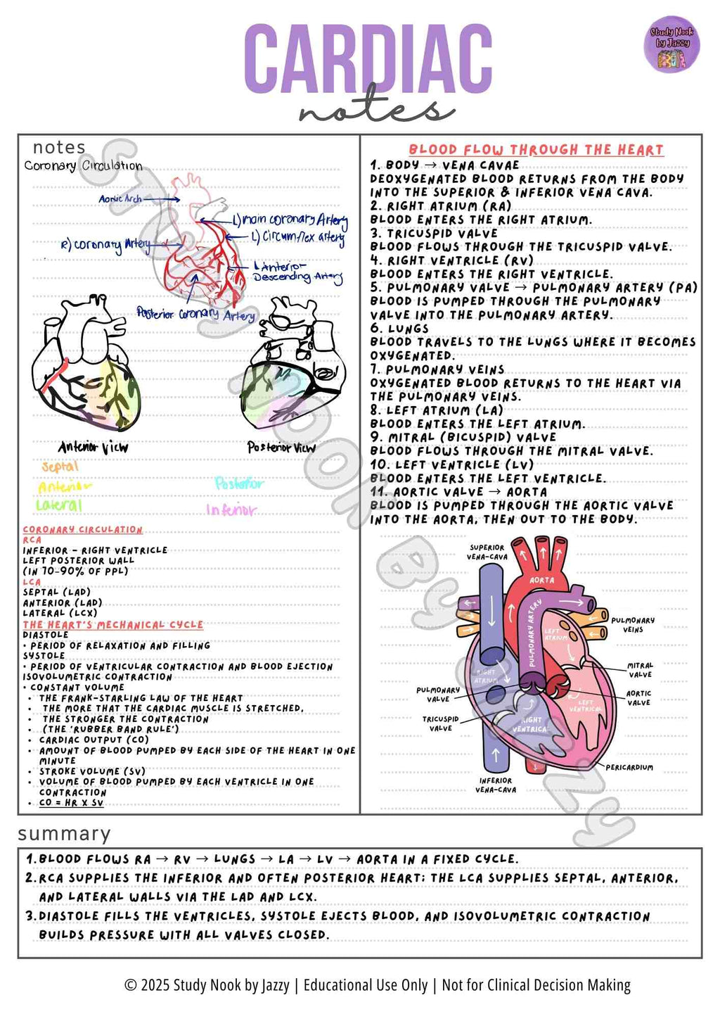 Advanced Cardiac Notes - ECG & ACS Study Guide