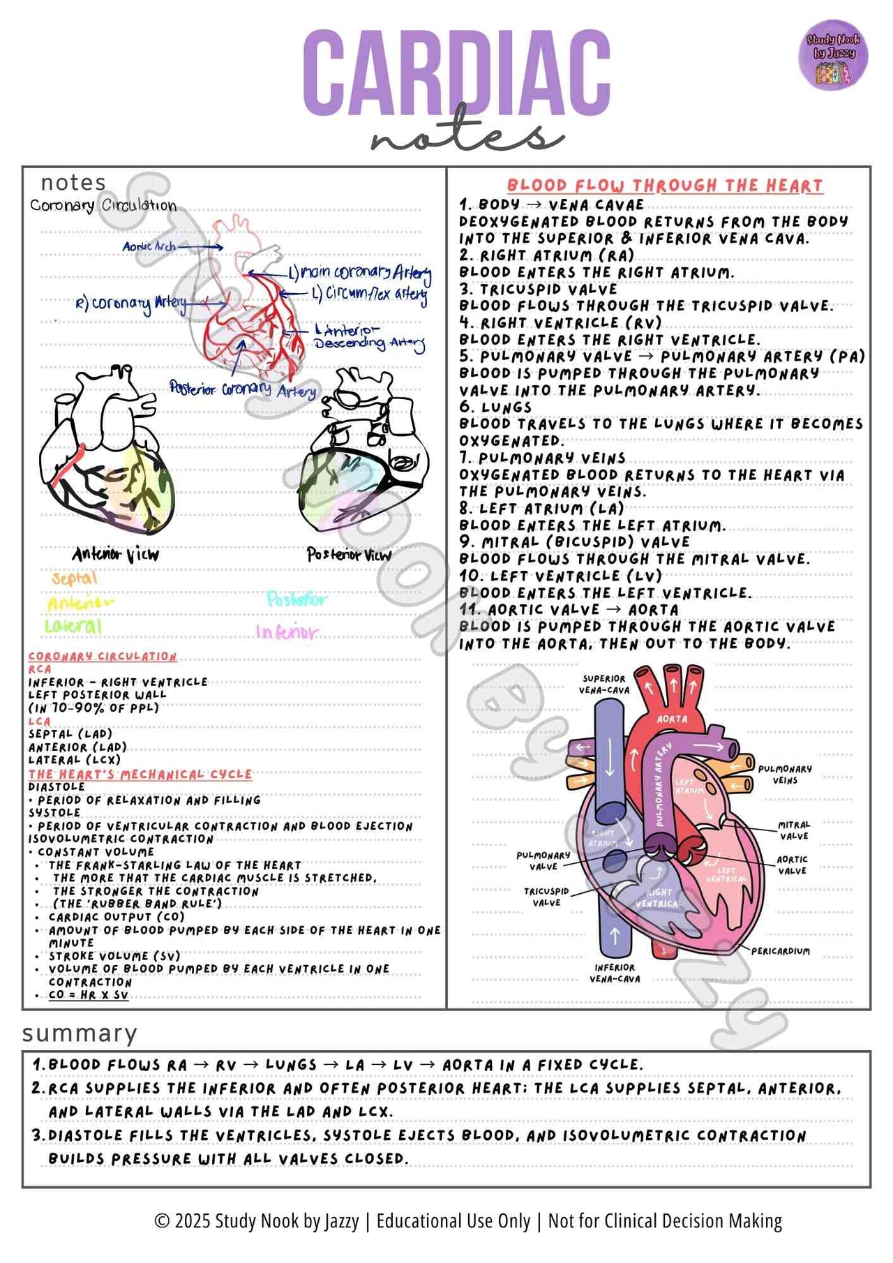 Advanced Cardiac Notes - ECG & ACS Study Guide