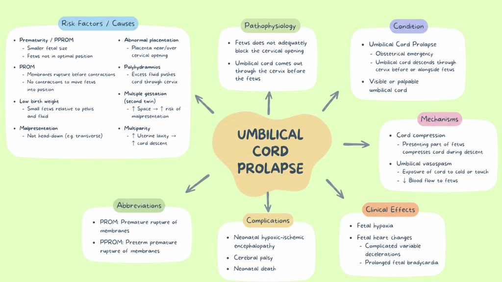 OBGYN Pathophysiology Mind Maps